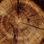 Sourced Wood