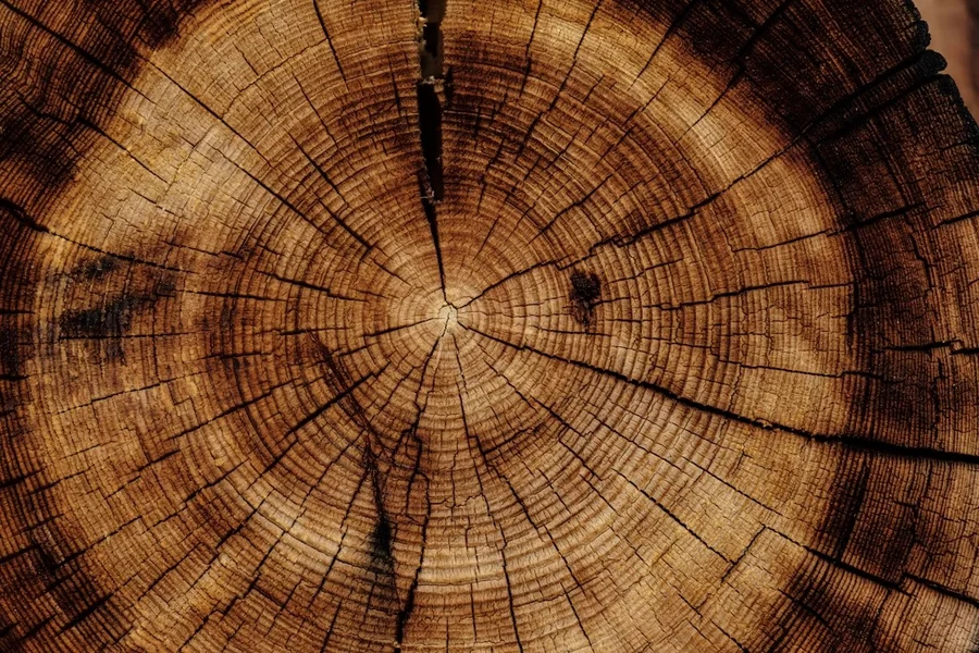 Sourced Wood