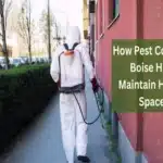 Pest Control In Boise Helps Maintain Healthy Spaces