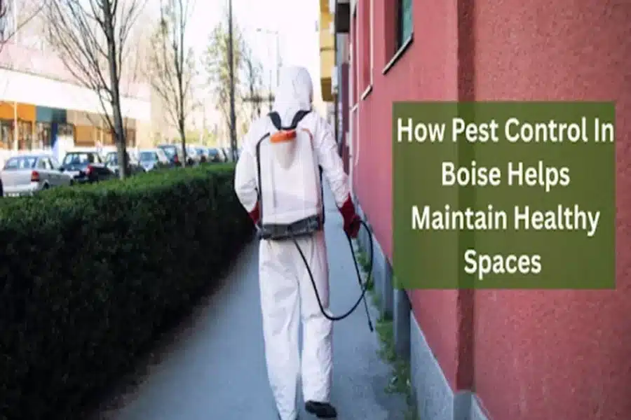 Pest Control In Boise Helps Maintain Healthy Spaces