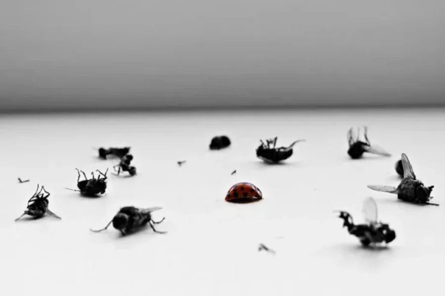 Reliable Pest Control