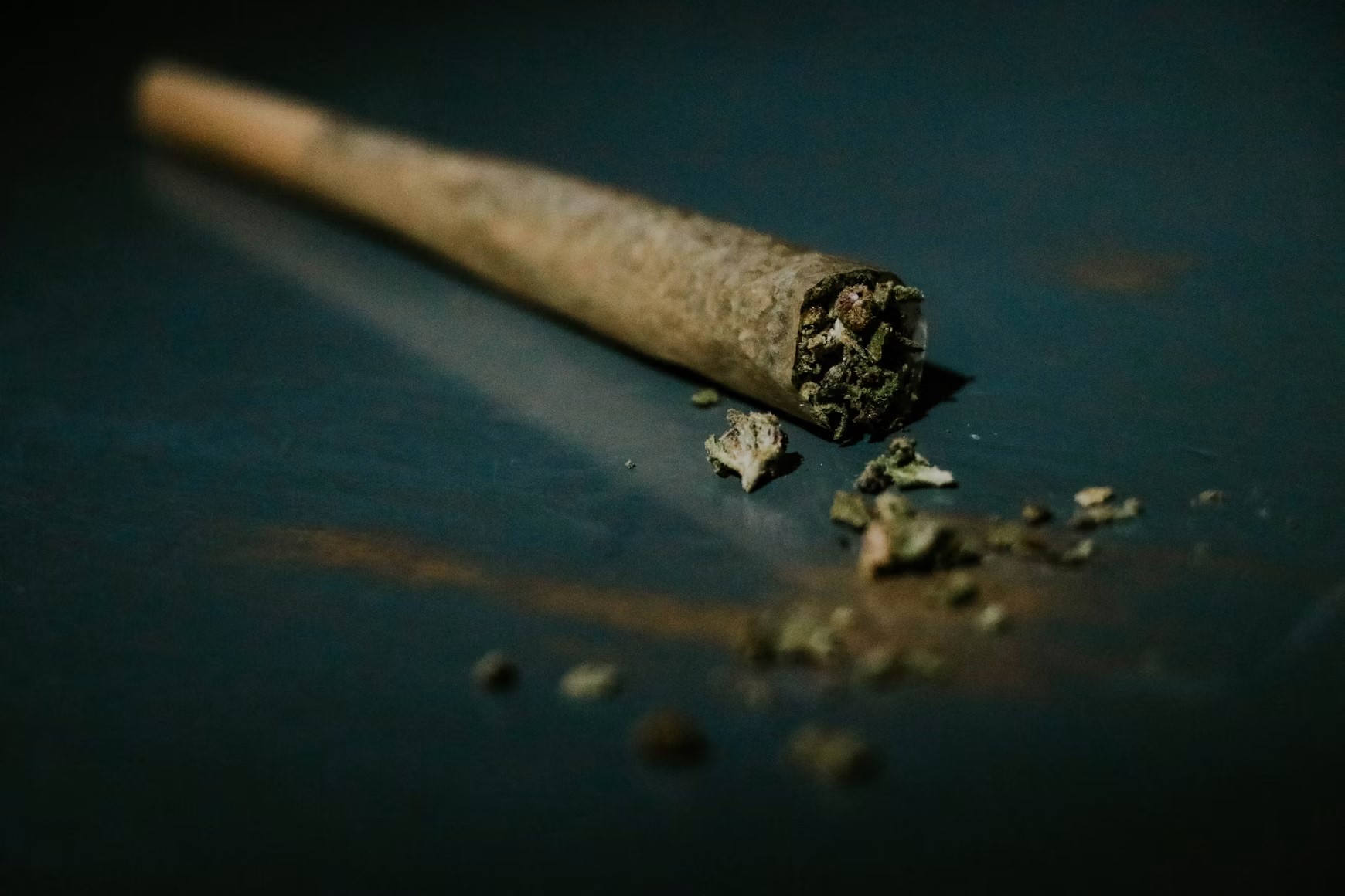 Cannabis