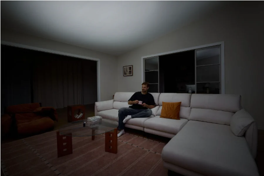  Living Alone 