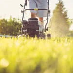 Lawn