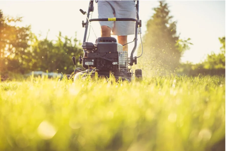Lawn